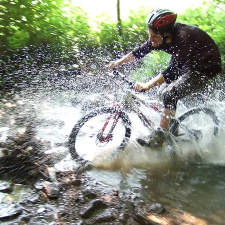 Zeeduinenbos Semesterbostad *