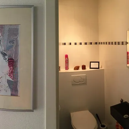 Zeeduinenbos Schoorl