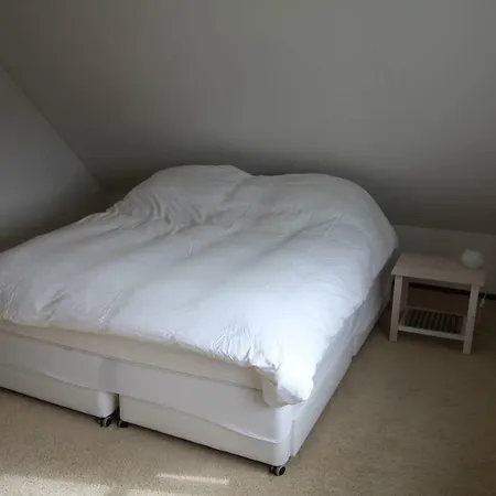 Zeeduinenbos Holiday home