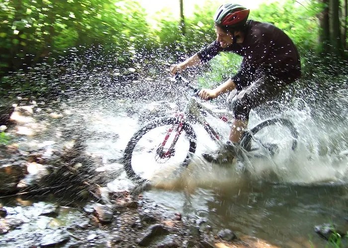 Zeeduinenbos Vakantiehuis *