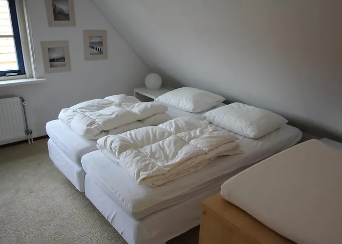 Zeeduinenbos Vakantiehuis Schoorl