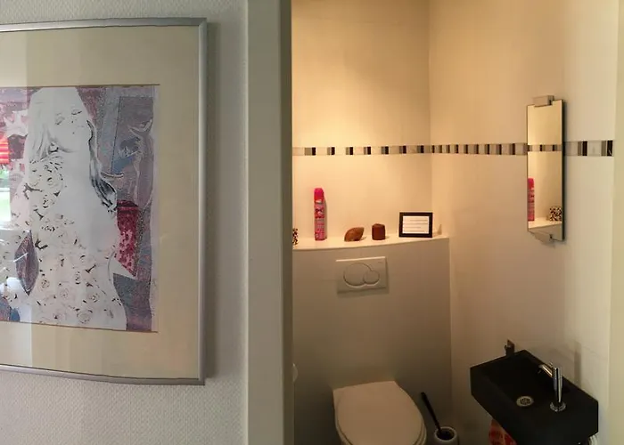 Zeeduinenbos Schoorl