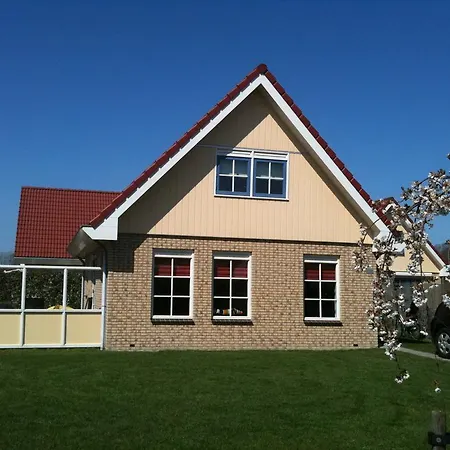 Zeeduinenbos * Schoorl